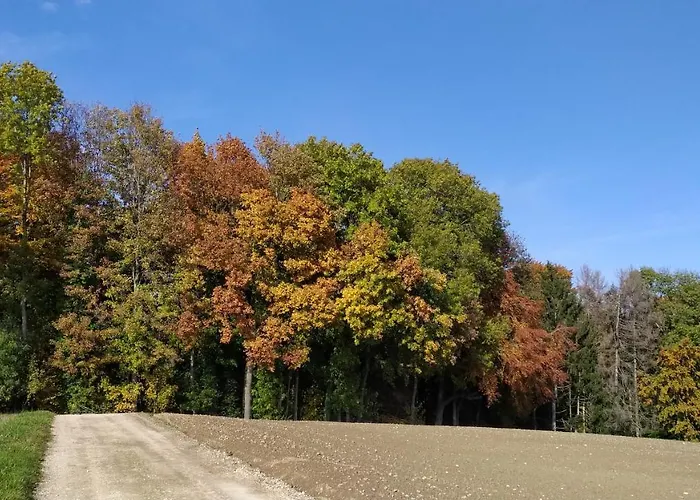 Pensionat La Sereine Romanel-sur-Morges