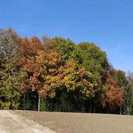 Penzion La Sereine Romanel-sur-Morges