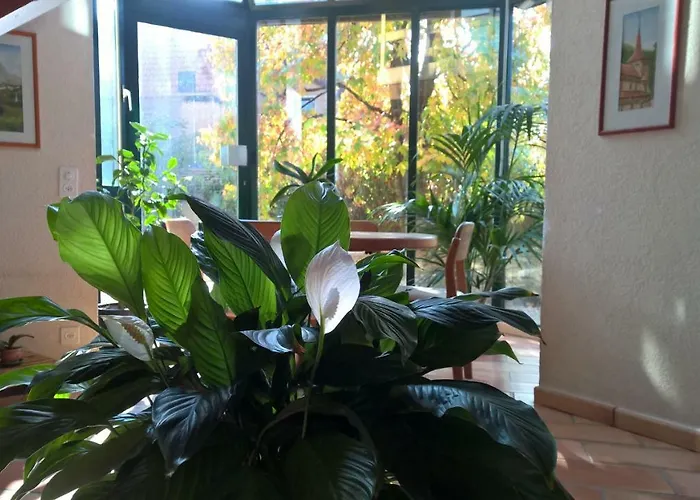 La Sereine 3* Romanel-sur-Morges